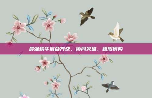 最强蜗牛混合方块,协同突破,极限博弈