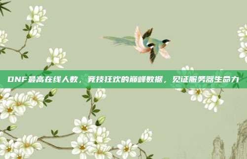 DNF最高在线人数,竞技狂欢的巅峰数据,见证服务器生命力