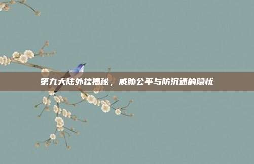 第九大陆外挂揭秘,威胁公平与防沉迷的隐忧