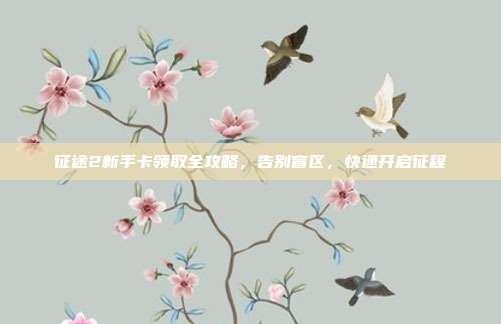 征途2新手卡领取全攻略,告别盲区,快速开启征程
