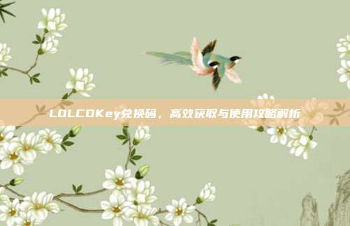 LOLCDKey兑换码,高效获取与使用攻略解析