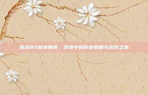 挑战85版本搬砖，逆境中的职业策略与应对之道