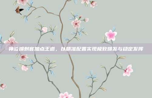 神泣爆刺客加点王道，以精准配置实现极致爆发与稳定发挥