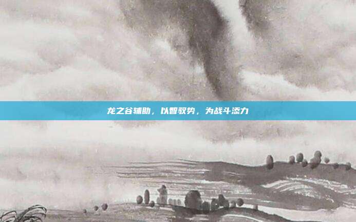 龙之谷辅助，以智驭势，为战斗添力