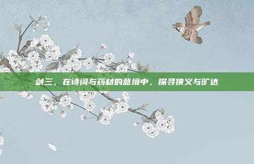 剑三，在诗词与药材的意境中，探寻侠义与旷达