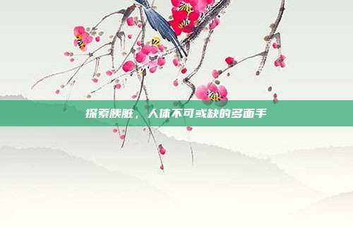 探索胰脏，人体不可或缺的多面手