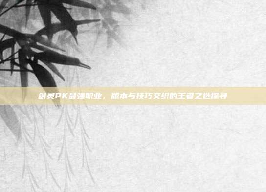 剑灵PK最强职业，版本与技巧交织的王者之选探寻
