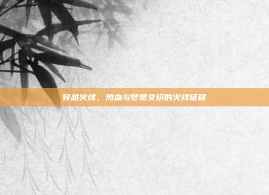 穿越火线,热血与梦想交织的火线征程