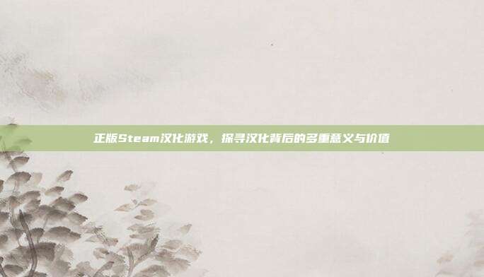 正版Steam汉化游戏,探寻汉化背后的多重意义与价值