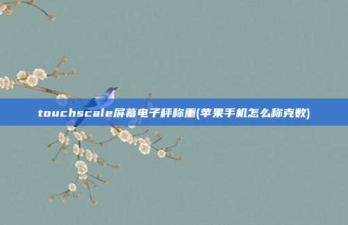 touchscale屏幕电子秤称重(苹果手机怎么称克数)