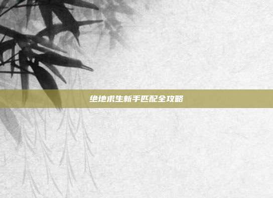绝地求生新手匹配全攻略