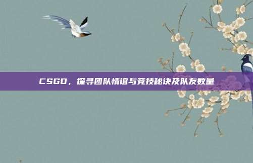 CSGO,探寻团队情谊与竞技秘诀及队友数量