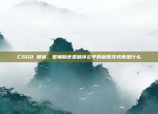 CSGO 脚本，是辅助还是破坏公平的利器及究竟是什么