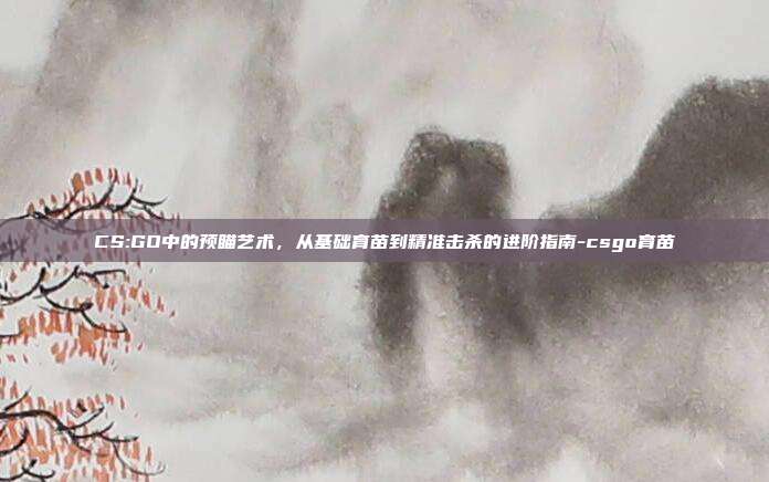 CS:GO中的预瞄艺术,从基础育苗到精准击杀的进阶指南-csgo育苗