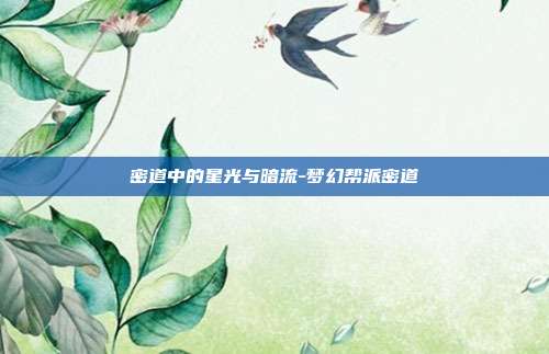 密道中的星光与暗流-梦幻帮派密道
