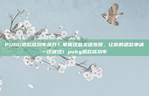 PUBG退款成功率飙升?掌握这些关键步骤,让你的退款申请一次通过!pubg退款成功率