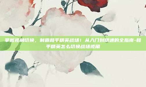掌握视角切换,制霸和平精英战场!从入门到精通的全指南-和平精英怎么切换战场视角