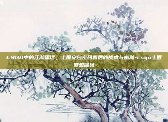CSGO中的江湖黑话,土匪安包密码背后的战术与幽默-csgo土匪安包密码