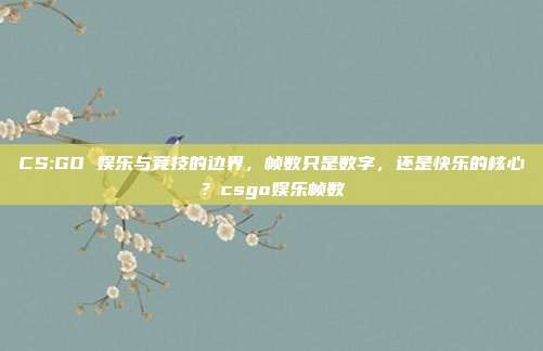 CS:GO 娱乐与竞技的边界,帧数只是数字,还是快乐的核心?csgo娱乐帧数