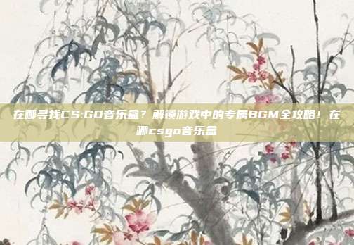 在哪寻找CS:GO音乐盒?解锁游戏中的专属BGM全攻略!在哪csgo音乐盒