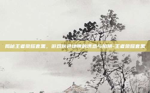 揭秘王者荣耀套黑,游戏灰色地带的诱惑与陷阱-王者荣耀套黑