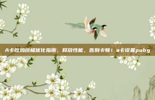 A卡吃鸡终极优化指南,释放性能,告别卡顿!a卡设置pubg