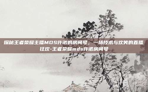 探秘王者荣耀主播MDS许诺的房间号,一场技术与欢笑的直播狂欢-王者荣耀mds许诺房间号