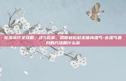 祛湿茶饮全攻略,这5款茶,帮你轻松赶走体内湿气-去湿气最好的方法喝什么茶