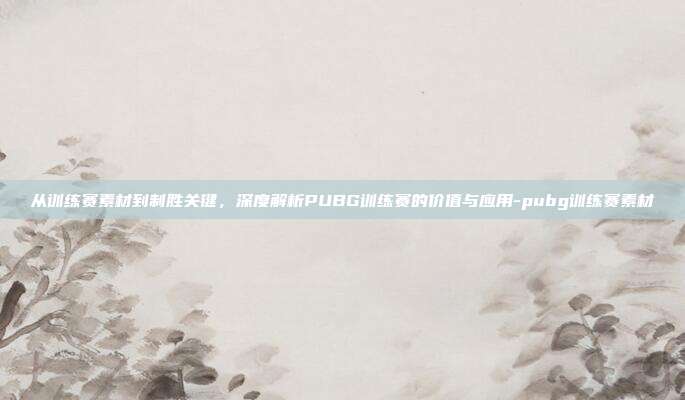 从训练赛素材到制胜关键,深度解析PUBG训练赛的价值与应用-pubg训练赛素材