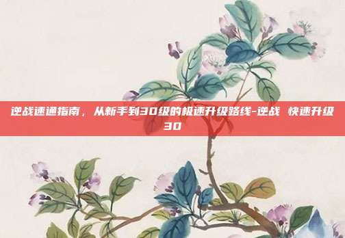 逆战速通指南,从新手到30级的极速升级路线-逆战 快速升级30