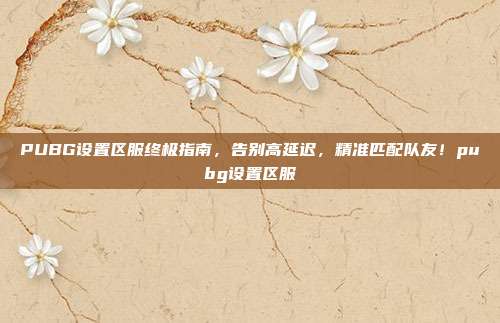 PUBG设置区服终极指南,告别高延迟,精准匹配队友!pubg设置区服