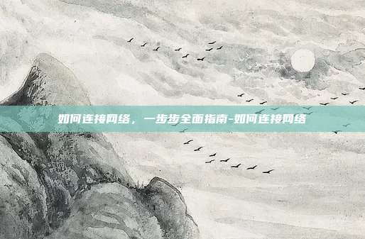 如何连接网络,一步步全面指南-如何连接网络