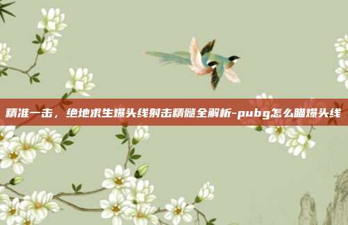 精准一击，绝地求生爆头线射击精髓全解析-pubg怎么瞄爆头线