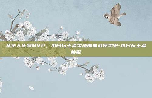 从送人头到MVP,小白玩王者荣耀的血泪逆袭史-小白玩王者荣耀