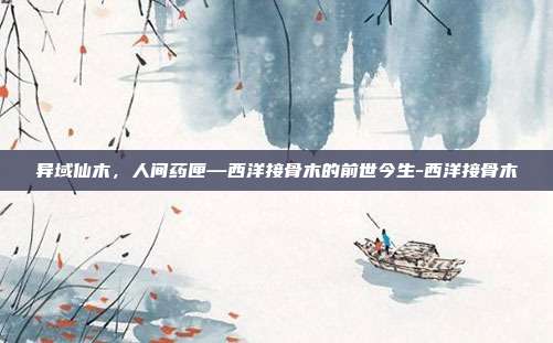 异域仙木，人间药匣—西洋接骨木的前世今生-西洋接骨木