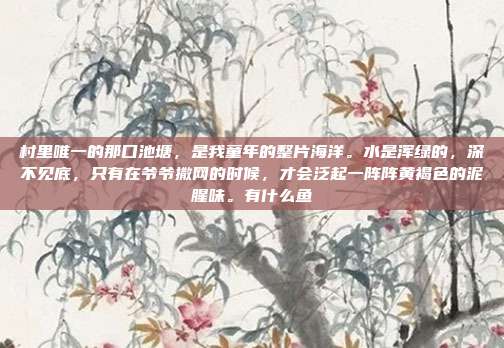 村里唯一的那口池塘，是我童年的整片海洋。水是浑绿的，深不见底，只有在爷爷撒网的时候，才会泛起一阵阵黄褐色的泥腥味。有什么鱼