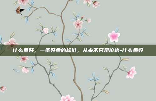 什么鱼好,一条好鱼的标准,从来不只是价格-什么鱼好