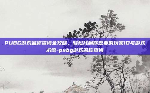 PUBG游戏名称查询全攻略,轻松找到你想要的玩家ID与游戏术语-pubg游戏名称查询