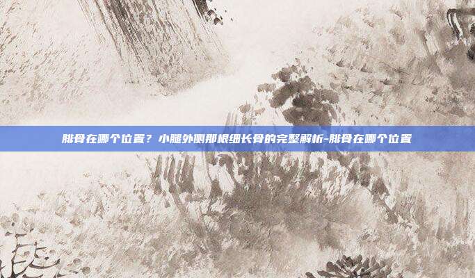 腓骨在哪个位置?小腿外侧那根细长骨的完整解析-腓骨在哪个位置