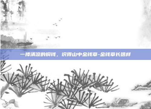 一捧清凉的铜钱,识得山中金钱草-金钱草长啥样