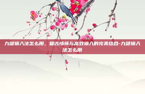 九键输入法怎么用,复古情怀与高效输入的完美结合-九键输入法怎么用