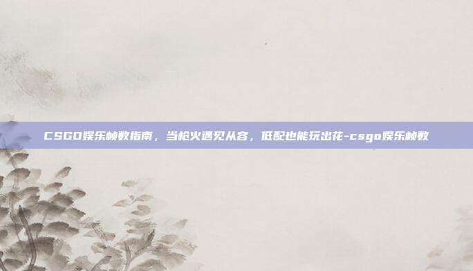 CSGO娱乐帧数指南，当枪火遇见从容，低配也能玩出花-csgo娱乐帧数