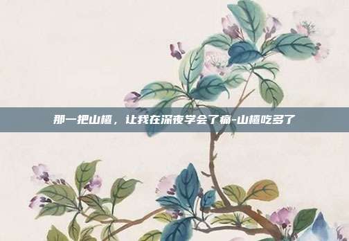 那一把山楂，让我在深夜学会了痛-山楂吃多了