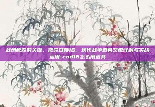 战场致胜的关键,使命召唤16,现代战争道具系统详解与实战运用-cod16怎么用道具