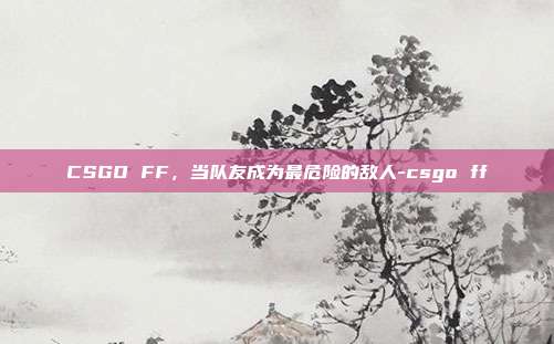 CSGO FF,当队友成为最危险的敌人-csgo ff