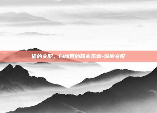 猫的交配,自然界的精密乐章-猫的交配