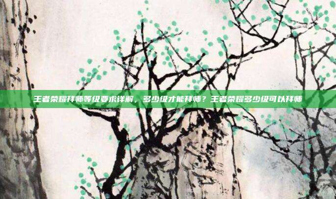 王者荣耀拜师等级要求详解,多少级才能拜师?王者荣耀多少级可以拜师