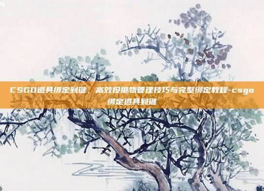 CSGO道具绑定到键,高效投掷物管理技巧与完整绑定教程-csgo绑定道具到键