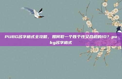 PUBG名字格式全攻略,如何取一个既个性又合规的ID?pubg名字格式