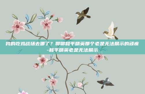 我的吃鸡战场去哪了?聊聊和平精英那个老是无法展示的顽疾-和平精英老是无法展示